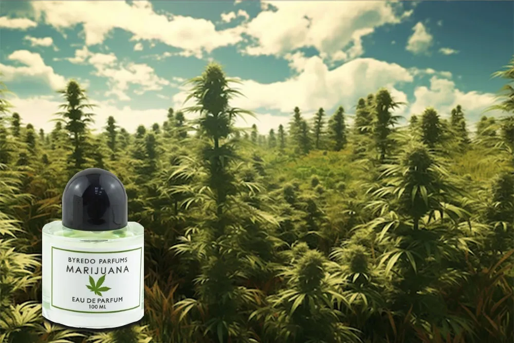 Byredo Marihuana описание аромата и состав духов