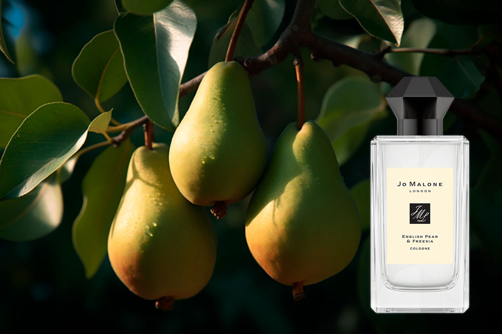  J.M. English Pear & Freesia описание аромата и состав духов