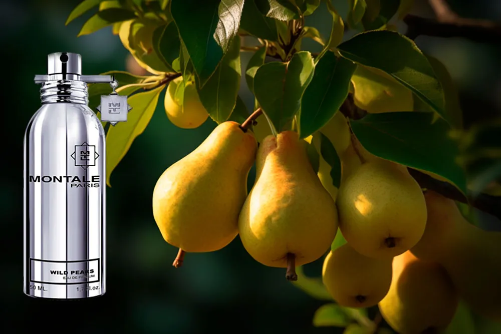Montale Wild Pears описание аромата и состав духов