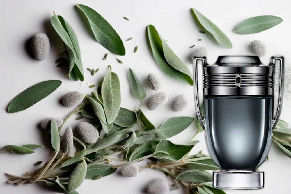 Paco Rabanne Invictus Intense описание аромата и состав духов