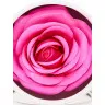 R040 Кремовые румяна и Хайлайтер Rosel Cosmetics Glazed Rose Розовый оттенок 6g
