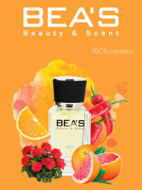 Парфюм BEA'S 25 ml M 228 Terre d'Hermes Hermès men