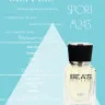 Парфюм BEA'S 25 ml M 243 Dior Homme Sport