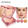 SC055-01 O.TWO.O Пудра Mist Mirror Locking Powder Natural Ivory 12g 