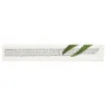 Масло для кутикулы в карандаше Lorilac 5 ml Алоэ