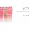 9110-03 O.TWO.O Хайлайтер Contour Grooming Powder 4 цвета 24g